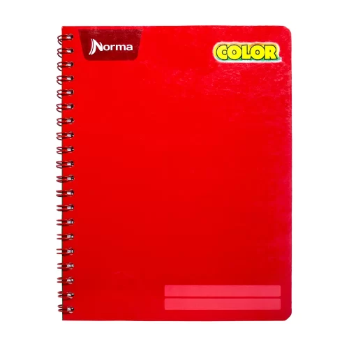 Cuaderno Profesional Norma doble espiral 100hj